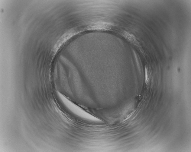 X0000054470204200508191736