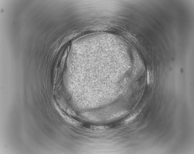 X0000054470205200508191736