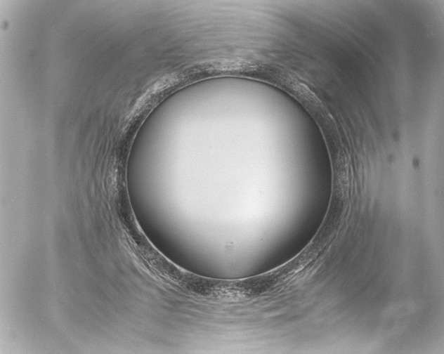 X0000054470207200508191736