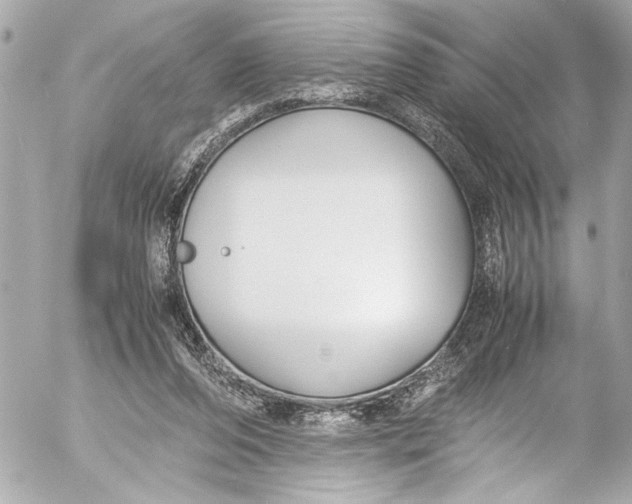 X0000054470208200508191736