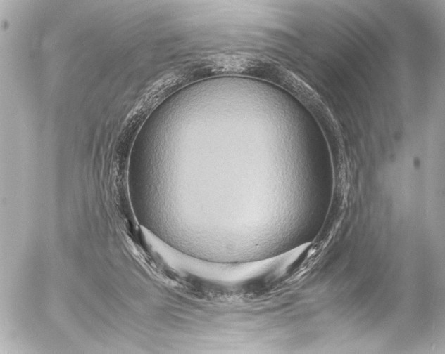 X0000054470209200508191736