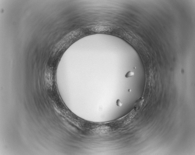 X0000054470210200508191736