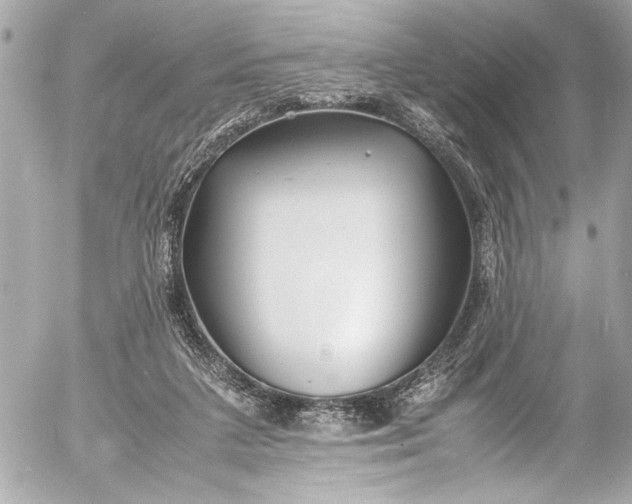 X0000054470211200508191736