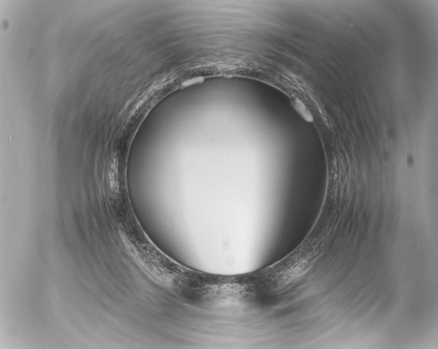 X0000054470212200508191736