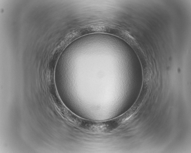 X0000054470213200508191736