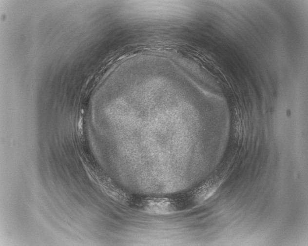 X0000054470214200508191736