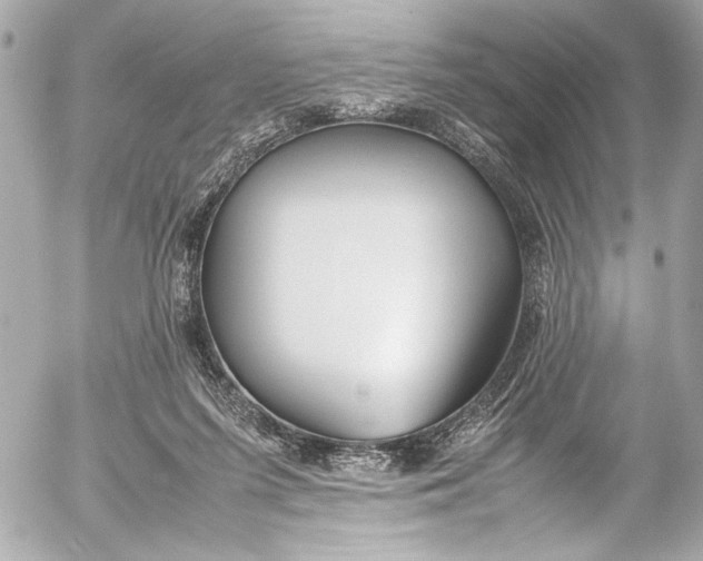 X0000054470215200508191736