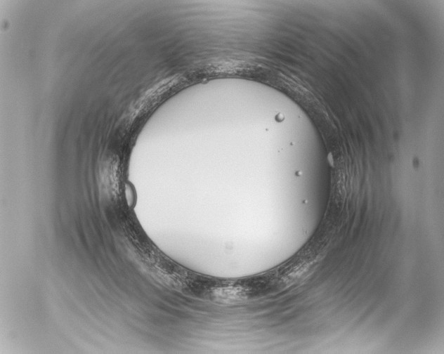 X0000054470216200508191736