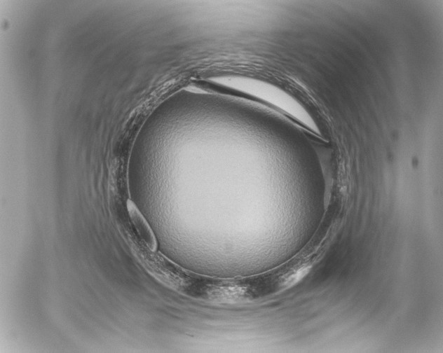 X0000054470217200508191736