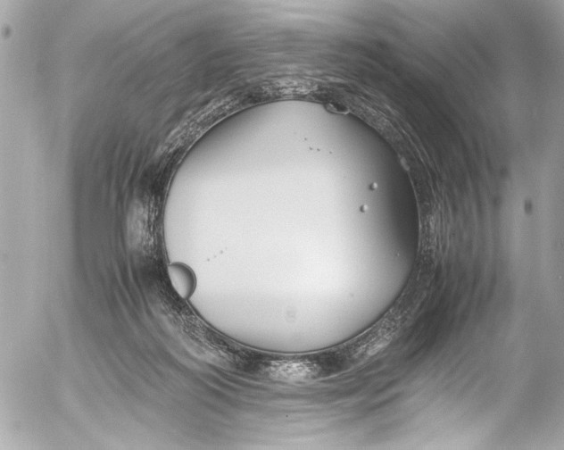 X0000054470218200508191736