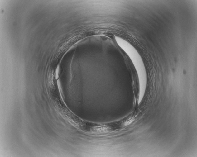 X0000054470219200508191736