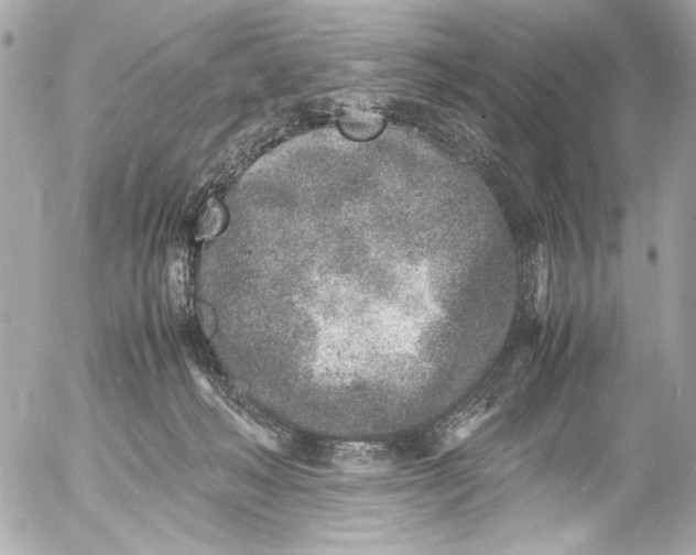 X0000054470222200508191736