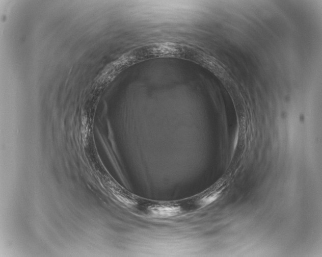 X0000054470223200508191736