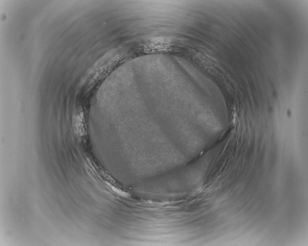 X0000054470224200508191736