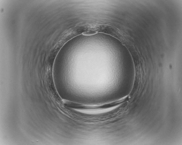 X0000054470225200508191736