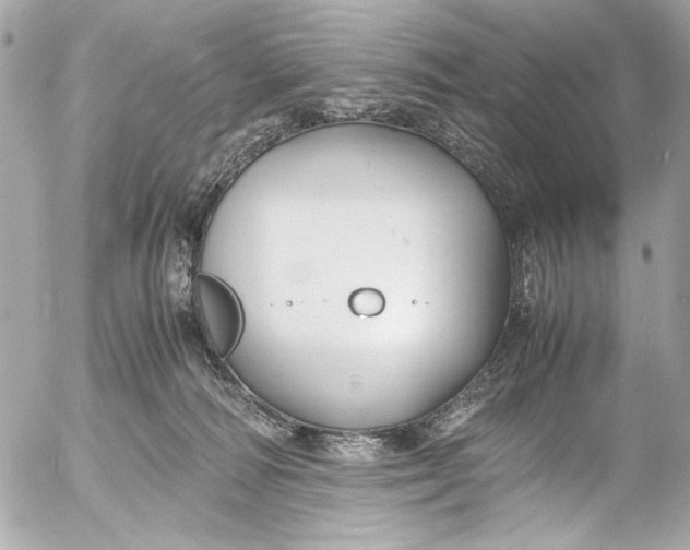 X0000054470226200508191736