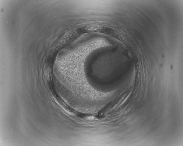 X0000054470227200508191736