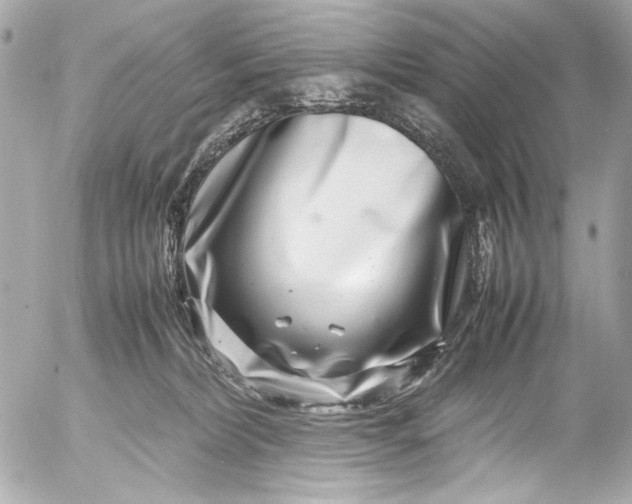 X0000054470228200508191736