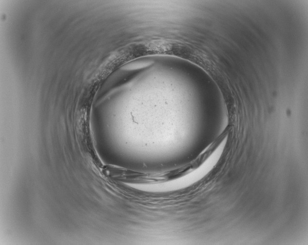 X0000054470229200508191736