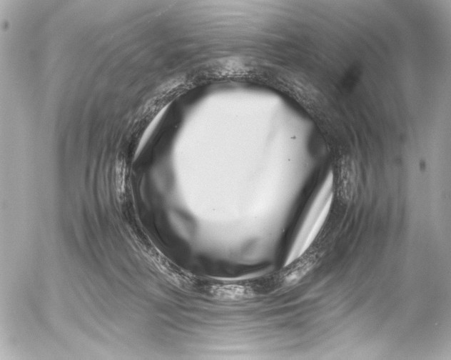 X0000054470230200508191736