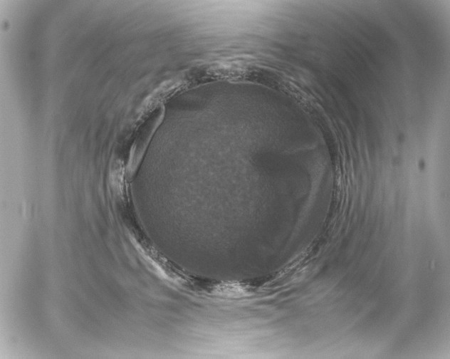 X0000054470231200508191736