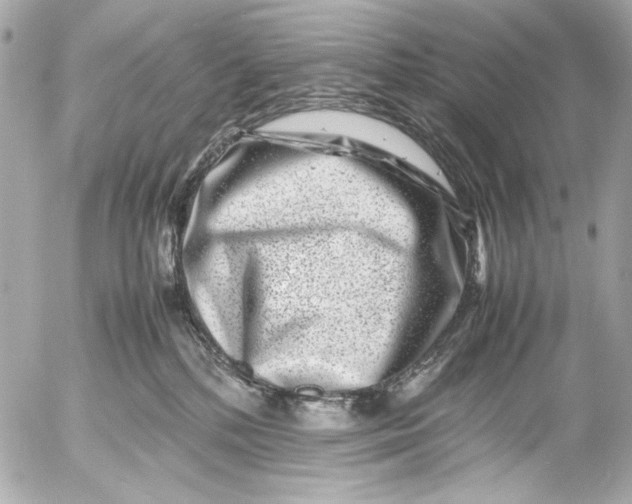 X0000054470232200508191736