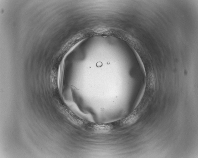 X0000054470234200508191736