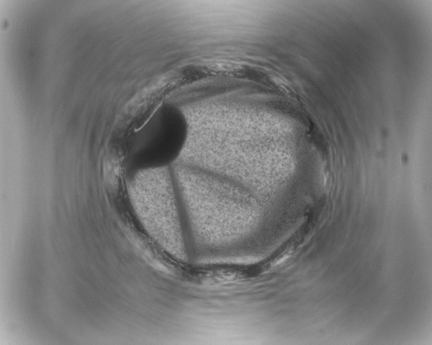 X0000054470235200508191736