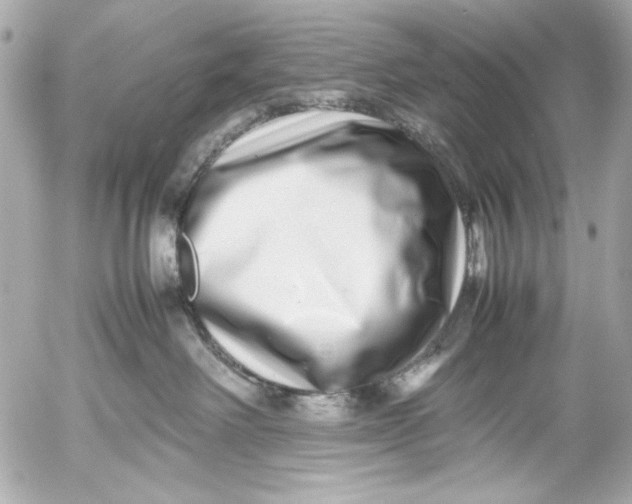 X0000054470238200508191736