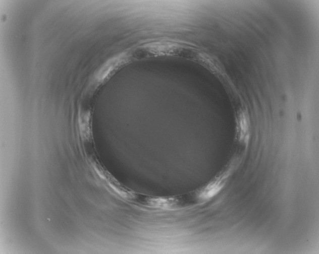 X0000054470239200508191736