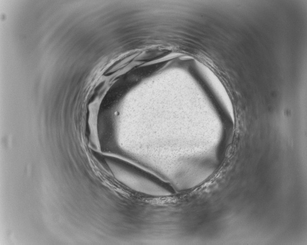 X0000054470241200508191735