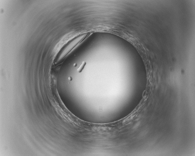 X0000054470242200508191735