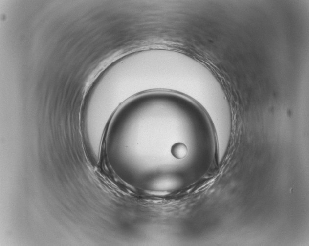 X0000054470244200508191735