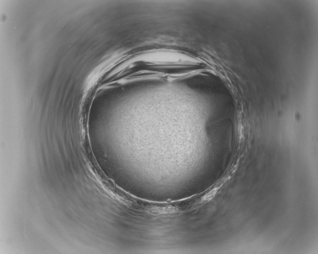 X0000054470245200508191735