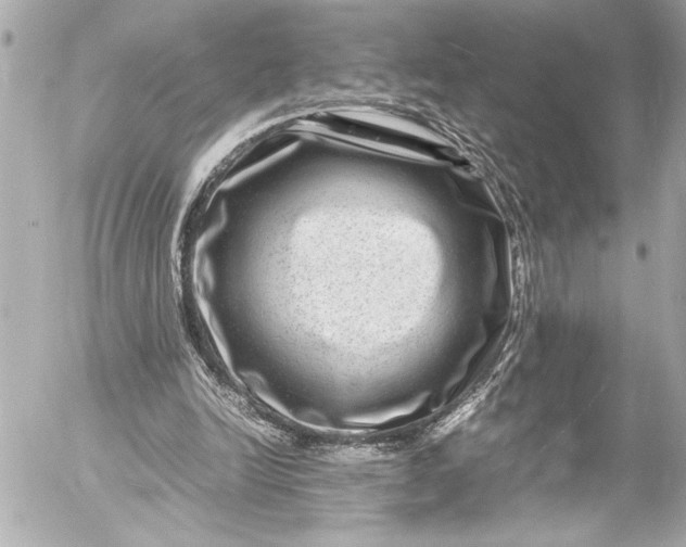 X0000054470246200508191735