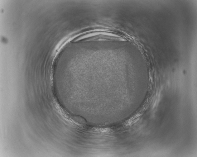 X0000054470247200508191735