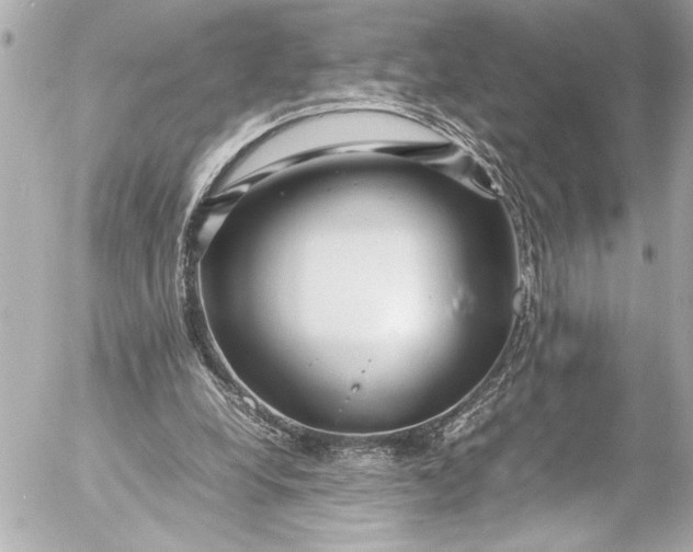 X0000054470248200508191735