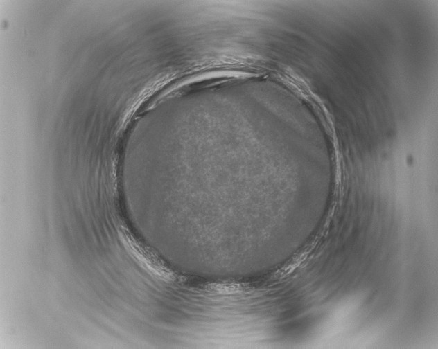 X0000054470250200508191735