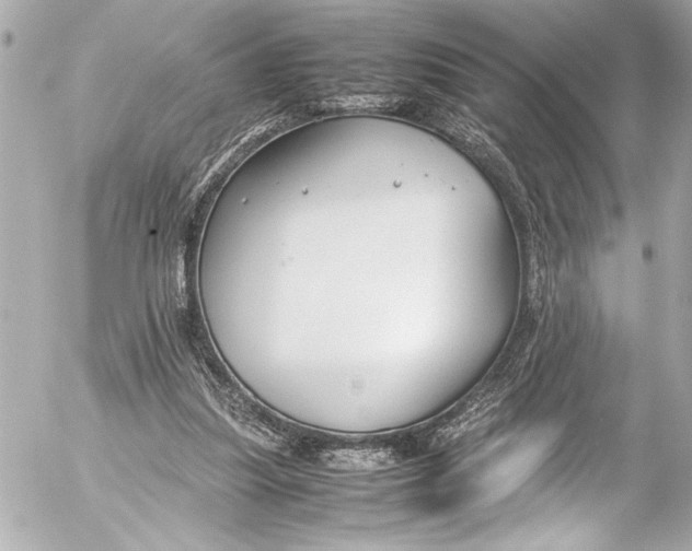 X0000054470251200508191735