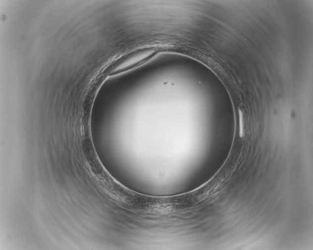 X0000054470252200508191735