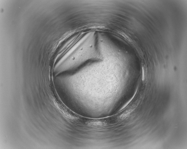 X0000054470253200508191735