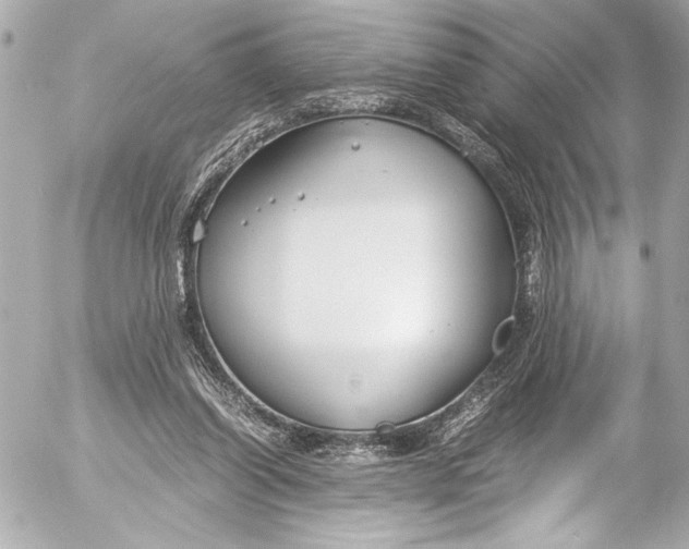 X0000054470254200508191735