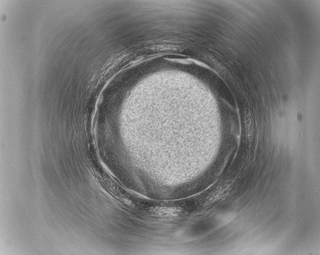 X0000054470255200508191735