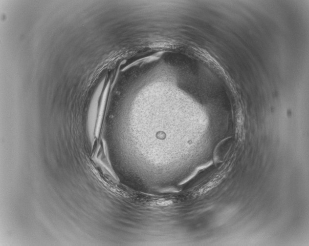 X0000054470257200508191735