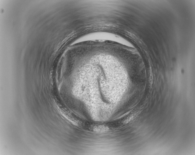 X0000054470258200508191735