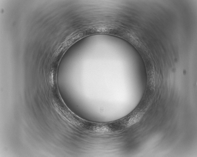 X0000054470262200508191735