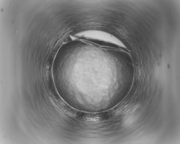 X0000054470263200508191735