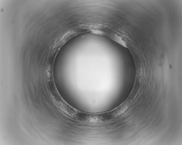 X0000054470264200508191735