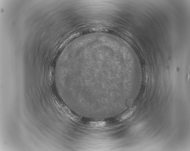 X0000054470266200508191735