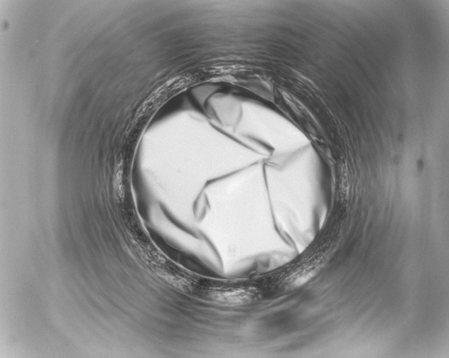 X0000054470267200508191735